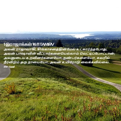 Picture 02 - 1 இராஜாக்கள் 16:11 TAMIRV - அவன் ராஜாவாகி, - Bible Verse Picture