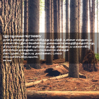 Picture 02 - 1 இராஜாக்கள் 16:2 TAMIRV - நான் உன்னைத் - Bible Verse Picture