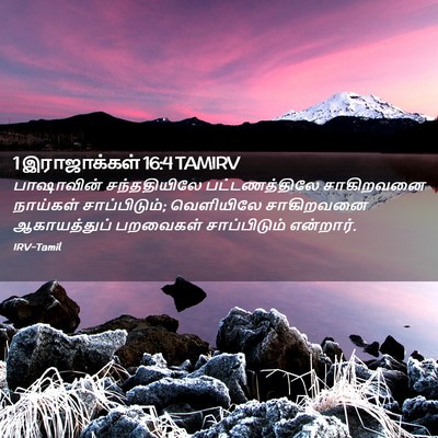 Picture 02 - 1 இராஜாக்கள் 16:4 TAMIRV - பாஷாவின் - Bible Verse Picture