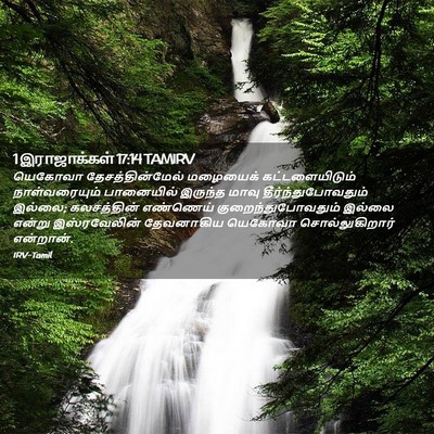 Picture 02 - 1 இராஜாக்கள் 17:14 TAMIRV - யெகோவா - Bible Verse Picture