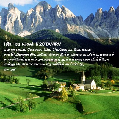 Picture 02 - 1 இராஜாக்கள் 17:20 TAMIRV - என்னுடைய தேவனாகிய - Bible Verse Picture