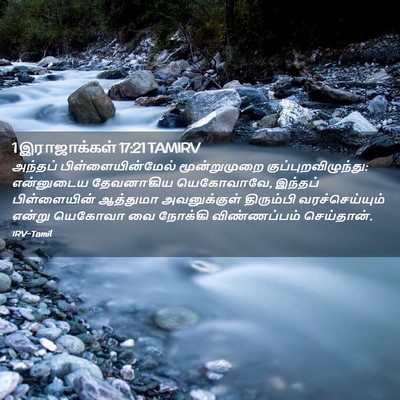 Picture 02 - 1 இராஜாக்கள் 17:21 TAMIRV - அந்தப் - Bible Verse Picture