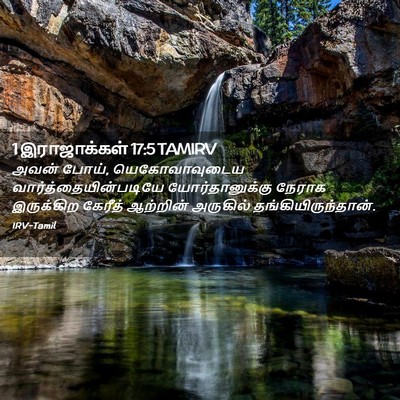 Picture 02 - 1 இராஜாக்கள் 17:5 TAMIRV - அவன் போய், - Bible Verse Picture