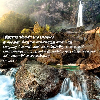 Picture 02 - 1 இராஜாக்கள் 17:9 TAMIRV - நீ எழுந்து, - Bible Verse Picture