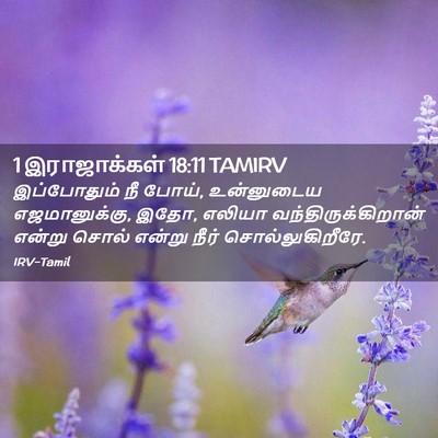Picture 02 - 1 இராஜாக்கள் 18:11 TAMIRV - இப்போதும் நீ போய், - Bible Verse Picture