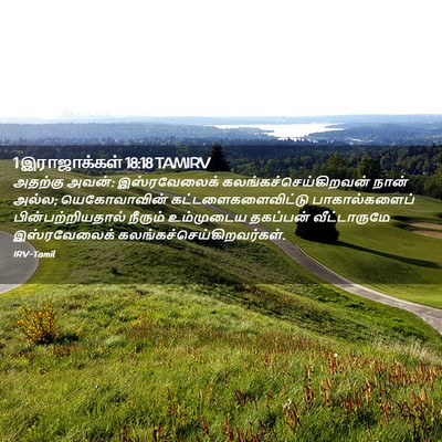 Picture 02 - 1 இராஜாக்கள் 18:18 TAMIRV - அதற்கு அவன்: - Bible Verse Picture