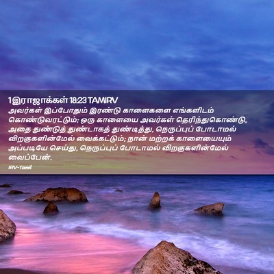 Picture 02 - 1 இராஜாக்கள் 18:23 TAMIRV - அவர்கள் இப்போதும் - Bible Verse Picture