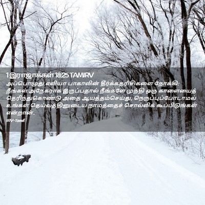 Picture 02 - 1 இராஜாக்கள் 18:25 TAMIRV - அப்பொழுது எலியா - Bible Verse Picture