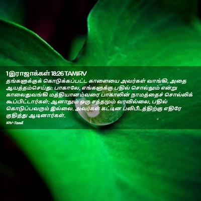 Picture 02 - 1 இராஜாக்கள் 18:26 TAMIRV - தங்களுக்குக் - Bible Verse Picture