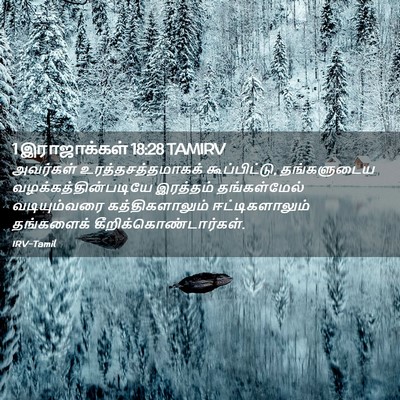 Picture 02 - 1 இராஜாக்கள் 18:28 TAMIRV - அவர்கள் - Bible Verse Picture