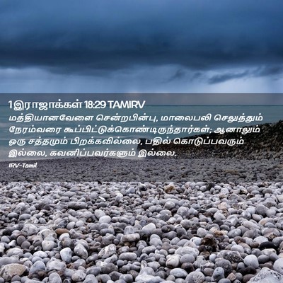 Picture 02 - 1 இராஜாக்கள் 18:29 TAMIRV - மத்தியானவேளை - Bible Verse Picture