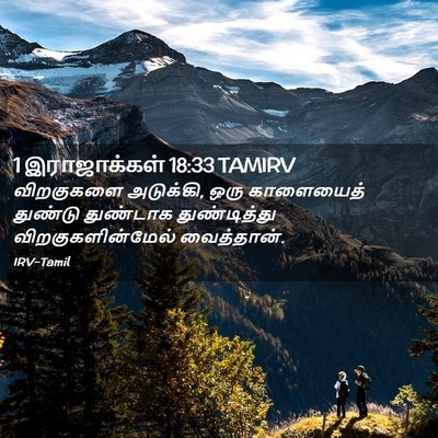 Picture 02 - 1 இராஜாக்கள் 18:33 TAMIRV - விறகுகளை அடுக்கி, - Bible Verse Picture