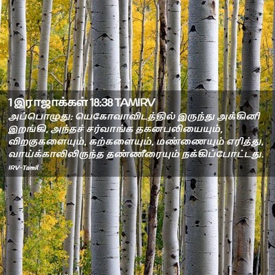 Picture 02 - 1 இராஜாக்கள் 18:38 TAMIRV - அப்பொழுது: - Bible Verse Picture