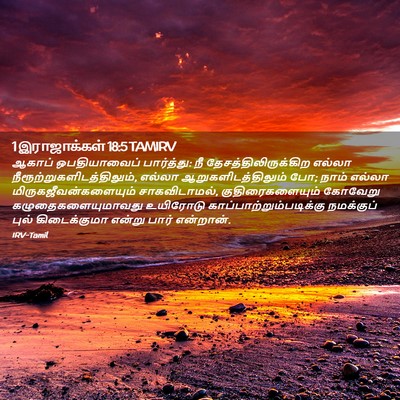 Picture 02 - 1 இராஜாக்கள் 18:5 TAMIRV - ஆகாப் ஒபதியாவைப் - Bible Verse Picture