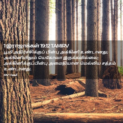 Picture 02 - 1 இராஜாக்கள் 19:12 TAMIRV - பூமி - Bible Verse Picture