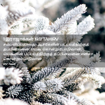 Picture 02 - 1 இராஜாக்கள் 19:17 TAMIRV - சம்பவிப்பதாவது: - Bible Verse Picture