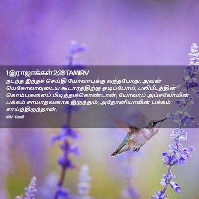 Picture 02 - 1 இராஜாக்கள் 2:28 TAMIRV - நடந்த இந்தச் - Bible Verse Picture