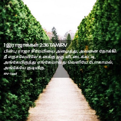 Picture 02 - 1 இராஜாக்கள் 2:36 TAMIRV - பின்பு ராஜா - Bible Verse Picture