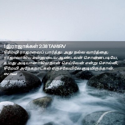 Picture 02 - 1 இராஜாக்கள் 2:38 TAMIRV - சீமேயி ராஜாவைப் - Bible Verse Picture
