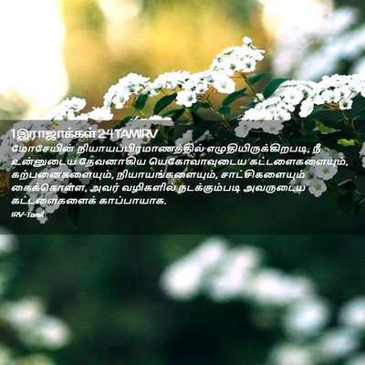 Picture 02 - 1 இராஜாக்கள் 2:4 TAMIRV - மோசேயின் - Bible Verse Picture