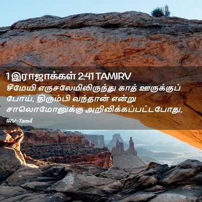 Picture 02 - 1 இராஜாக்கள் 2:41 TAMIRV - சீமேயி - Bible Verse Picture
