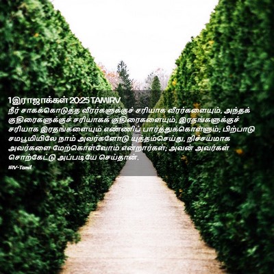 Picture 02 - 1 இராஜாக்கள் 20:25 TAMIRV - நீர் சாகக்கொடுத்த - Bible Verse Picture
