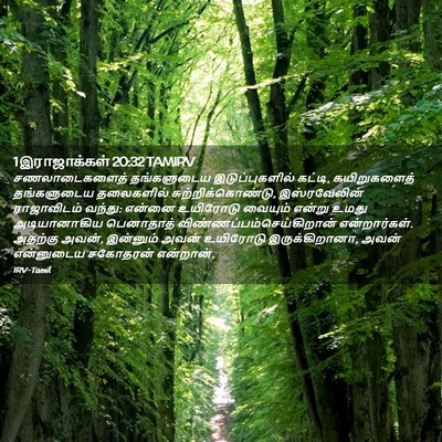 Picture 02 - 1 இராஜாக்கள் 20:32 TAMIRV - சணலாடைகளைத் - Bible Verse Picture