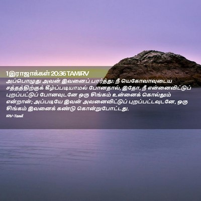 Picture 02 - 1 இராஜாக்கள் 20:36 TAMIRV - அப்பொழுது அவன் - Bible Verse Picture