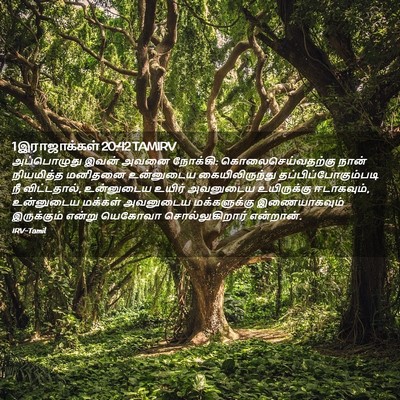 Picture 02 - 1 இராஜாக்கள் 20:42 TAMIRV - அப்பொழுது இவன் - Bible Verse Picture
