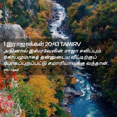 Picture 02 - 1 இராஜாக்கள் 20:43 TAMIRV - அதினால் - Bible Verse Picture