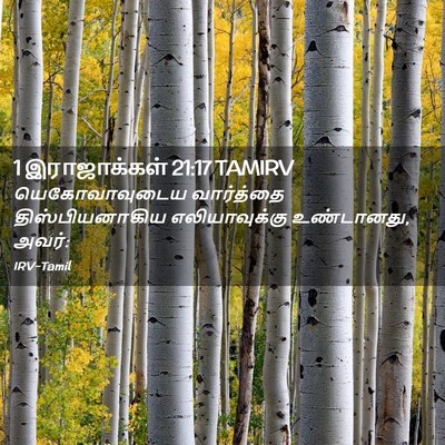 Picture 02 - 1 இராஜாக்கள் 21:17 TAMIRV - யெகோவாவுடைய - Bible Verse Picture