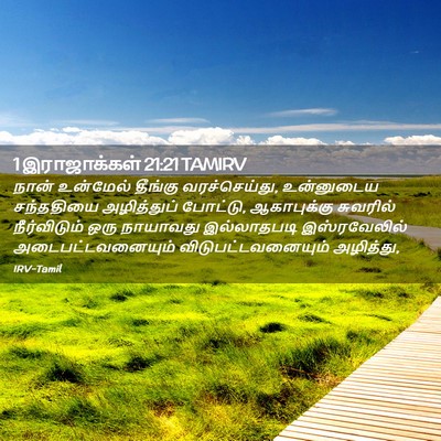 Picture 02 - 1 இராஜாக்கள் 21:21 TAMIRV - நான் உன்மேல் - Bible Verse Picture