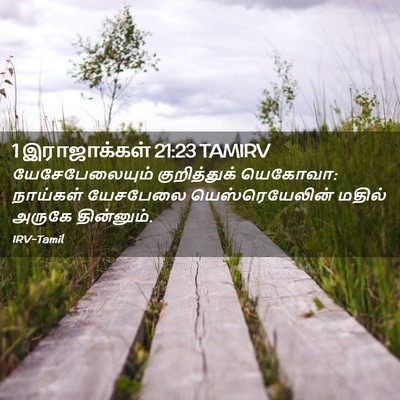Picture 02 - 1 இராஜாக்கள் 21:23 TAMIRV - யேசேபேலையும் - Bible Verse Picture