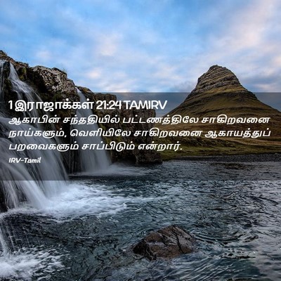 Picture 02 - 1 இராஜாக்கள் 21:24 TAMIRV - ஆகாபின் - Bible Verse Picture