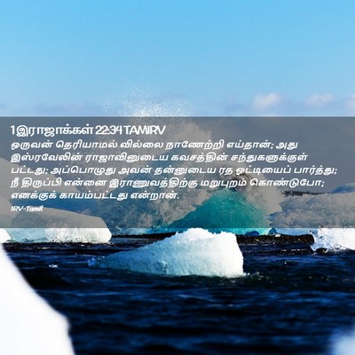 Picture 02 - 1 இராஜாக்கள் 22:34 TAMIRV - ஒருவன் தெரியாமல் - Bible Verse Picture