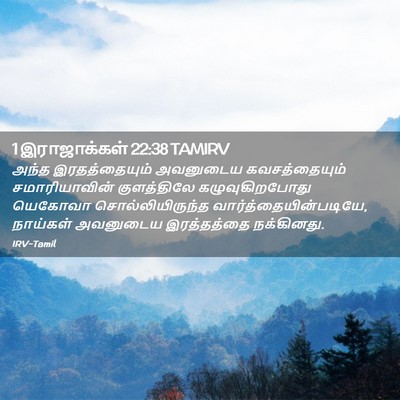 Picture 02 - 1 இராஜாக்கள் 22:38 TAMIRV - அந்த இரதத்தையும் - Bible Verse Picture