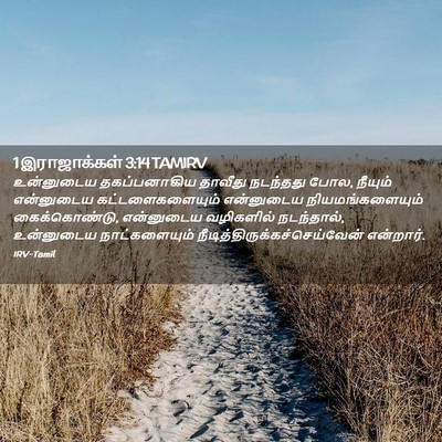 Picture 02 - 1 இராஜாக்கள் 3:14 TAMIRV - உன்னுடைய - Bible Verse Picture