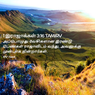 Picture 02 - 1 இராஜாக்கள் 3:16 TAMIRV - அப்பொழுது - Bible Verse Picture