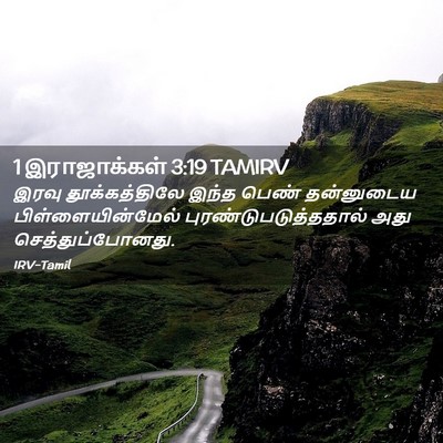 Picture 02 - 1 இராஜாக்கள் 3:19 TAMIRV - இரவு தூக்கத்திலே - Bible Verse Picture
