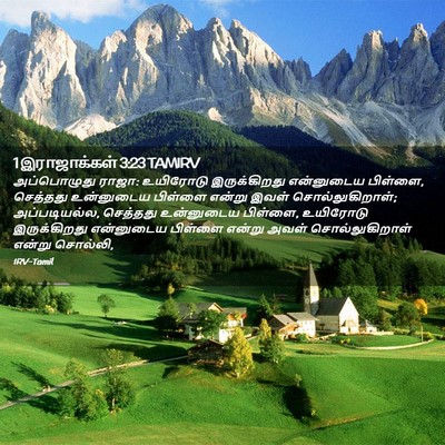 Picture 02 - 1 இராஜாக்கள் 3:23 TAMIRV - அப்பொழுது ராஜா: - Bible Verse Picture