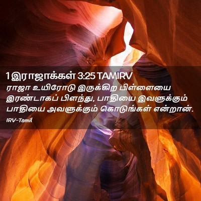 Picture 02 - 1 இராஜாக்கள் 3:25 TAMIRV - ராஜா உயிரோடு - Bible Verse Picture