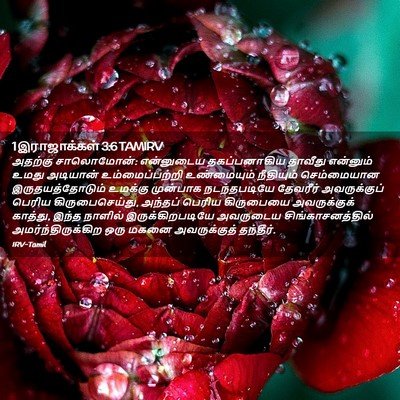 Picture 02 - 1 இராஜாக்கள் 3:6 TAMIRV - அதற்கு சாலொமோன்: - Bible Verse Picture