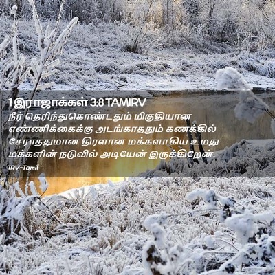 Picture 02 - 1 இராஜாக்கள் 3:8 TAMIRV - நீர் - Bible Verse Picture