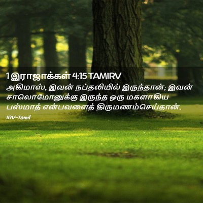 Picture 02 - 1 இராஜாக்கள் 4:15 TAMIRV - அகிமாஸ், இவன் - Bible Verse Picture