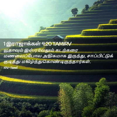 Picture 02 - 1 இராஜாக்கள் 4:20 TAMIRV - யூதாவும் - Bible Verse Picture