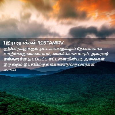 Picture 02 - 1 இராஜாக்கள் 4:28 TAMIRV - குதிரைகளுக்கும் - Bible Verse Picture