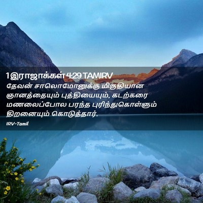 Picture 02 - 1 இராஜாக்கள் 4:29 TAMIRV - தேவன் - Bible Verse Picture