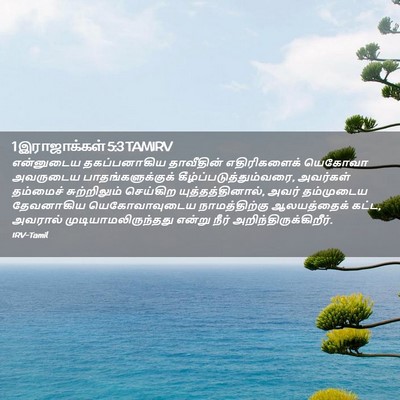 Picture 02 - 1 இராஜாக்கள் 5:3 TAMIRV - என்னுடைய - Bible Verse Picture