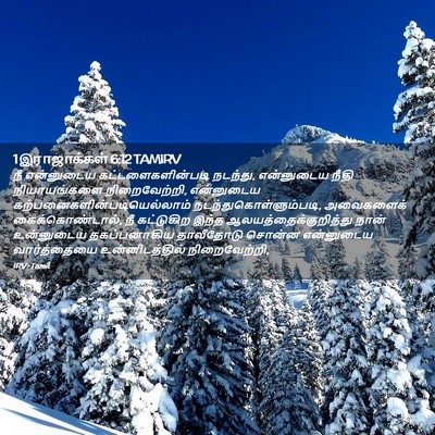 Picture 02 - 1 இராஜாக்கள் 6:12 TAMIRV - நீ என்னுடைய - Bible Verse Picture
