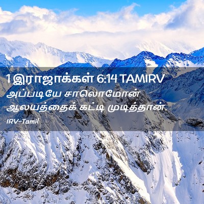 Picture 02 - 1 இராஜாக்கள் 6:14 TAMIRV - அப்படியே சாலொமோன் - Bible Verse Picture